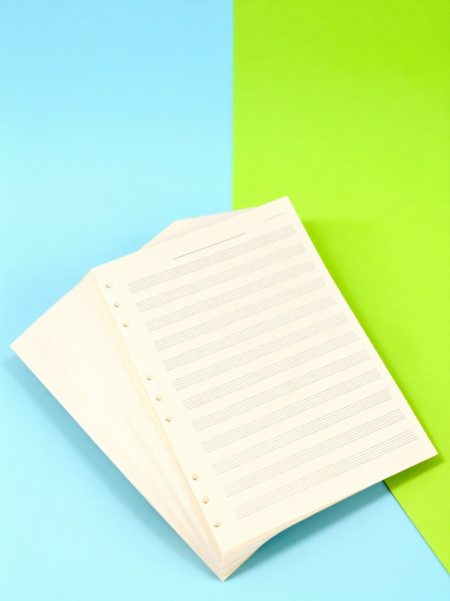 100 Blatt Notenpapier, 5-stufi – Blank Sheet Music Notebook Bewertung und Preis
